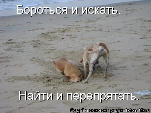 вкрутить лампочку прикол. чацкая "найти и перепрятать". копаться и искать найти и перепрятать наклейка. искать найти и перепрятать. искать найти и перепрятать.