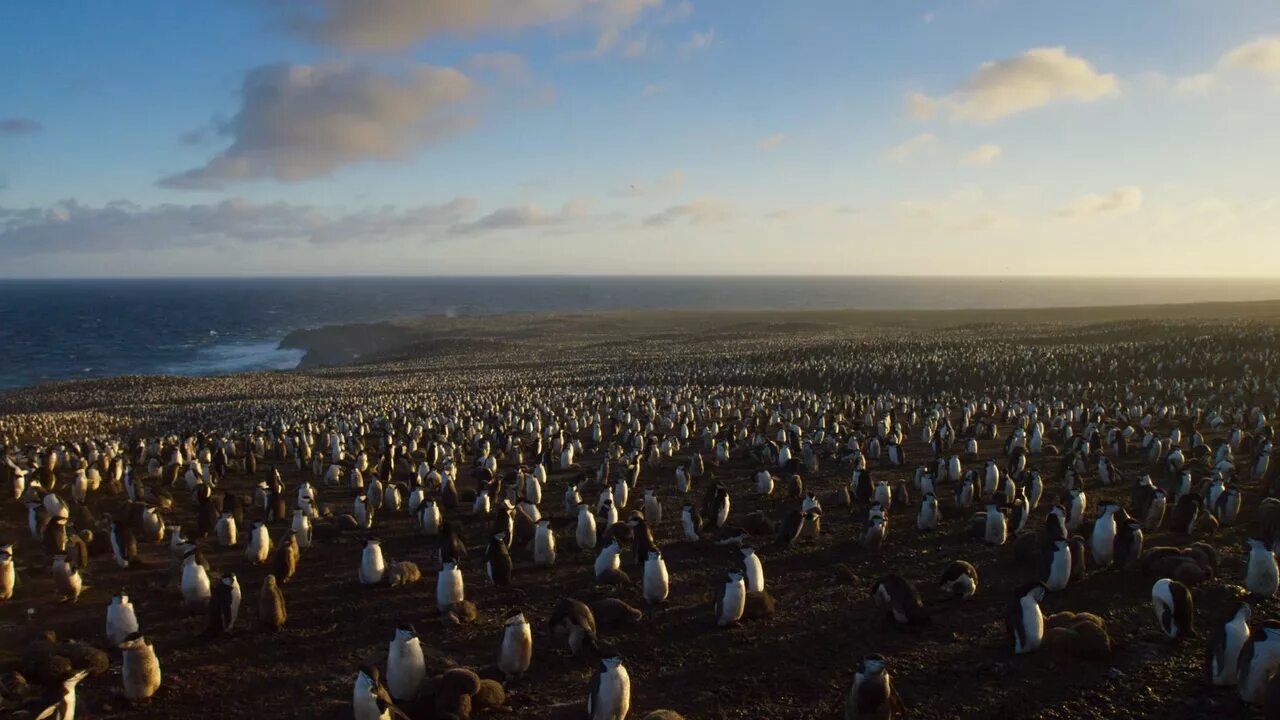 Земля 2 / earth 2 (1994 - 1995). Открытие земли 2. Формы земли 2 класс окружающий мир. История великих путешествий. Открытие земли 2.