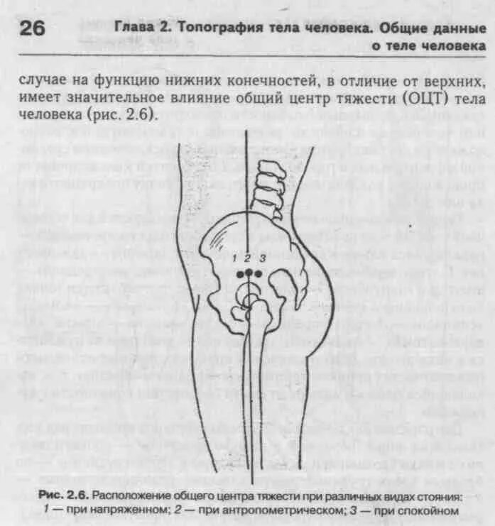 Где расположен центр тяжести тела. Расположение общего центра тяжести. Общий центр тяжести человека. Расположение центра тяжести у мужчин и женщин. Центра тяжести тела оцт.