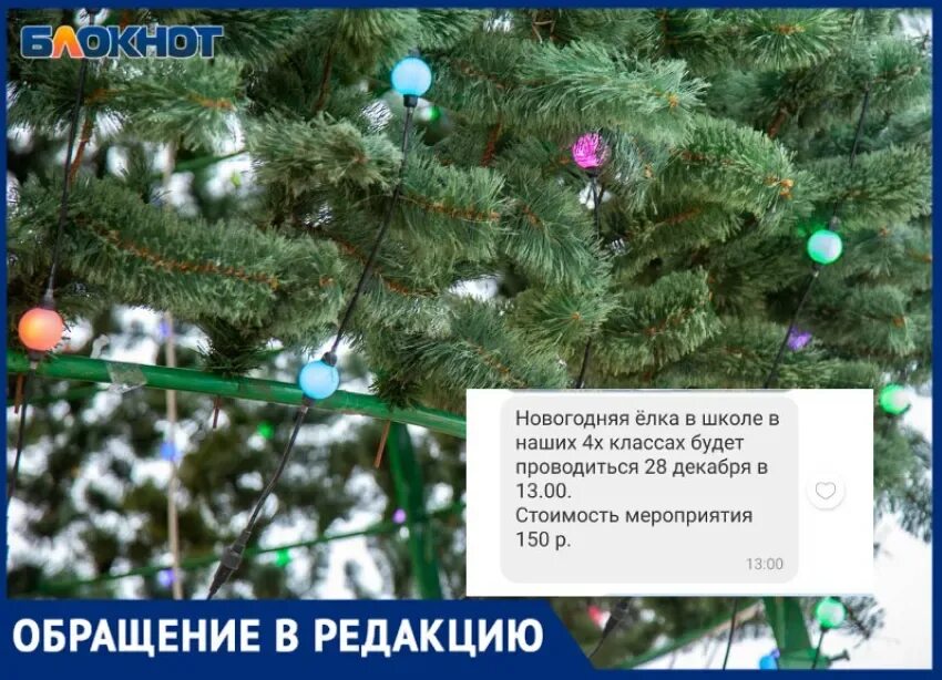 График новогодних елок в школе 