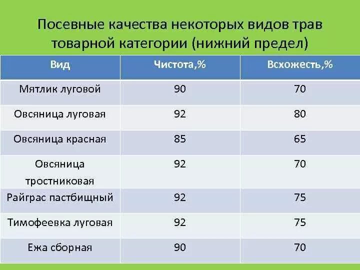 Мятлик Луговой норма высева. Мятлик норма высева для газона. Норма высева газона мятлика Лугового. Норма высева травосмеси. Расход газонной травы на 1 м2