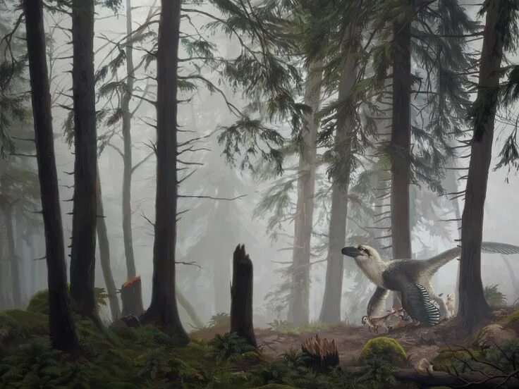 Saurian. Дакотараптор. дакотараптор saurian. saurian археораптор. дакотараптор и ютараптор.