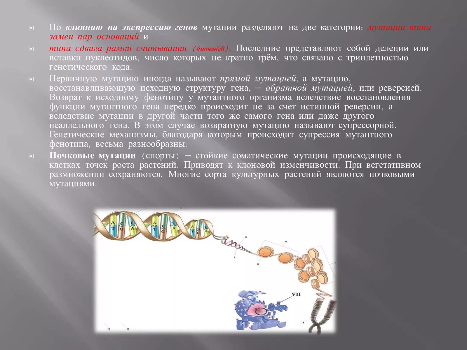 Презентация на тему мутации. Презентация на тему полезные мутации. Мутации типа сдвига рамки считывания. Мутации дикого типа