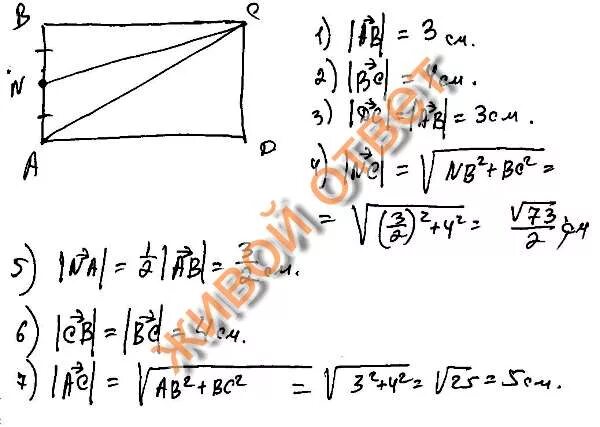 В прямоугольнике ABCD ab 3 BC 4. Найти модуль АВ. Модуль вектора 3ab-2bc. Найдите вектор ab и BC.