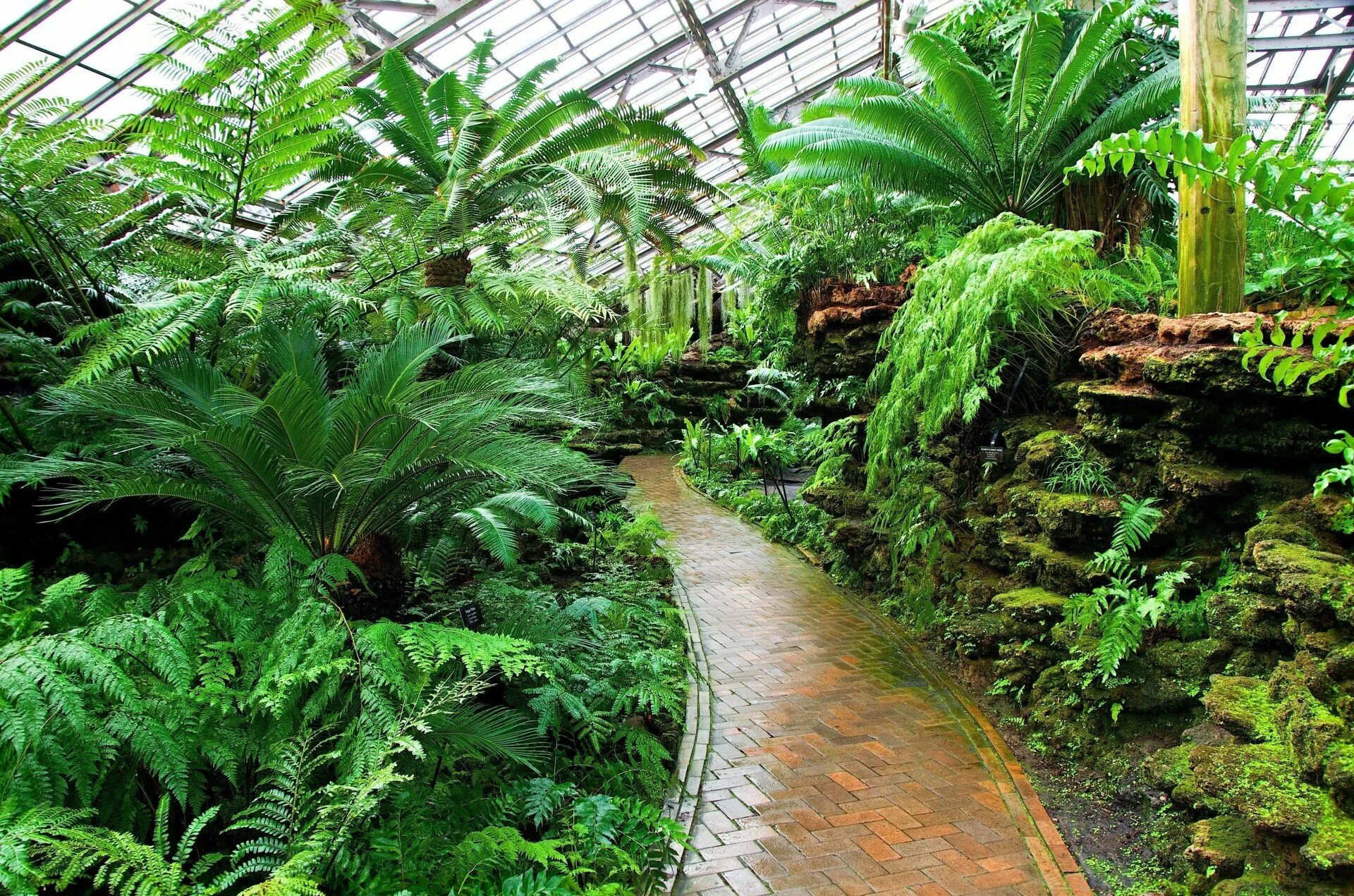 Ботанический сад ижевск. Оранжерея Иркутск. Ботанический сад Botanical Garden. Ботанический сад оранжерея с пальмами. Оранжерея субтропики Сингапур.