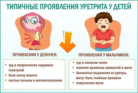 Когда писаю болит
