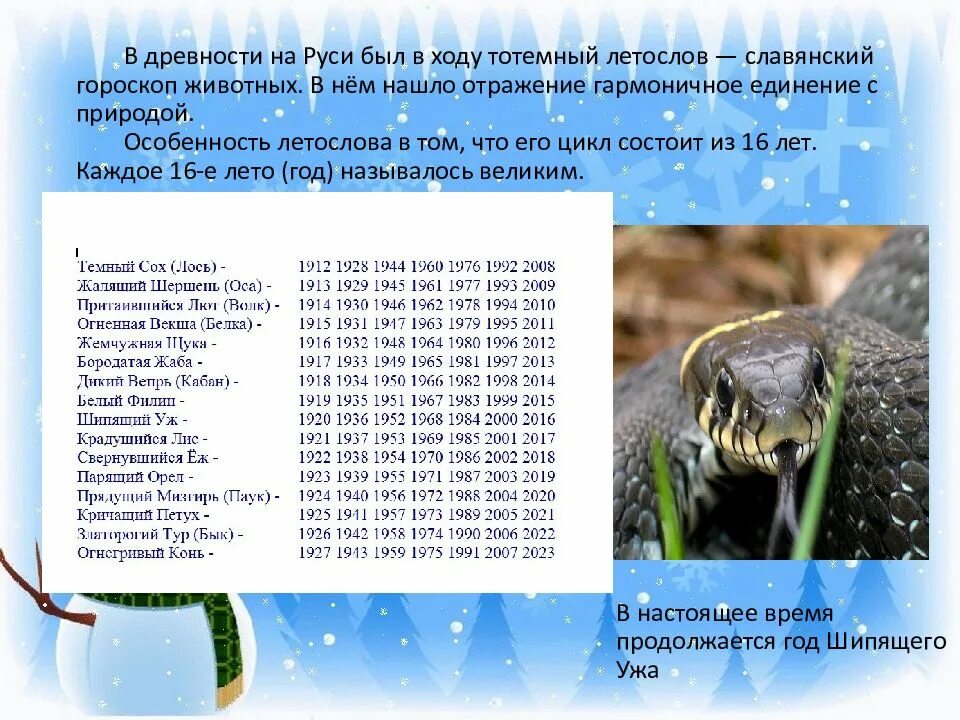 Тотем шипящий уж. Шипящий уж по славянскому гороскопу. Шипящий уж (змея). Славянский календарь уж. Славянский гороскоп.