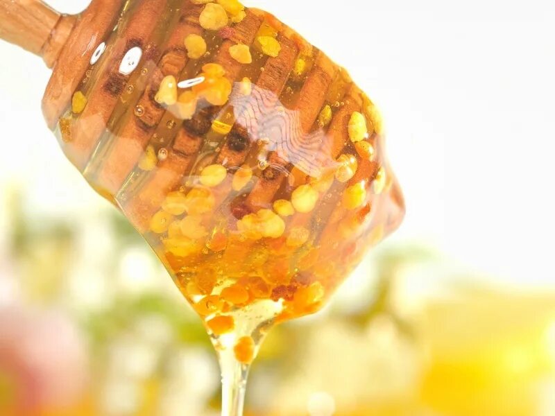 Как правильно принимать пыльцу. Мёд с пергой. Мёд с пыльцой. Мёд пыльца перга. Мед гречишный с пергой.