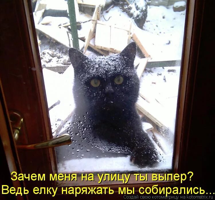 Пусть приходит грусть я к тебе припрусь. Холодно на улице. Нормальные цитаты. Цитаты про понедельник позитивные и смешные. Нежность души.
