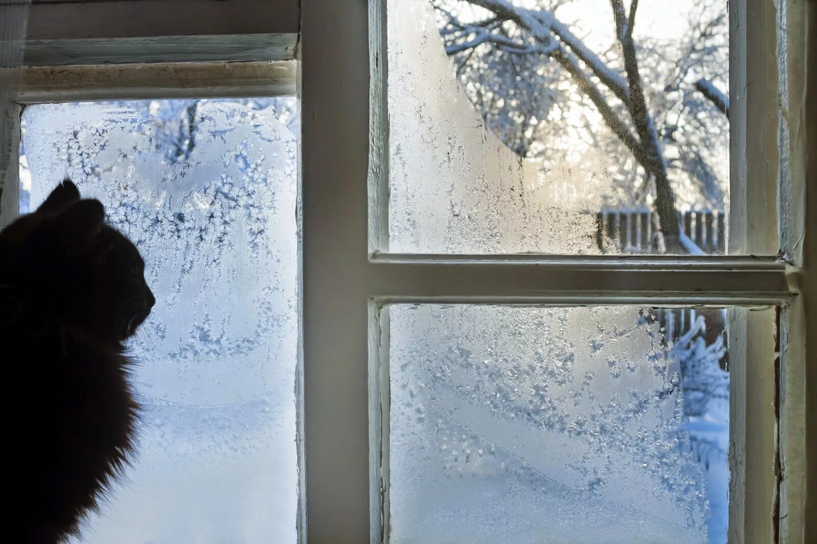 Зимнее окно. Окно зимой. Снег за окном. Иней на окне.
