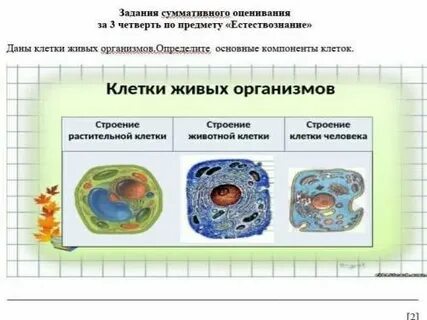 Давай клетку