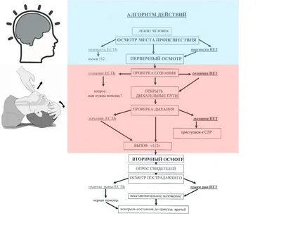 Короткий алгоритм действий