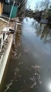 Обь бийск паводок 2024 года