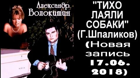 Собаки аккорды
