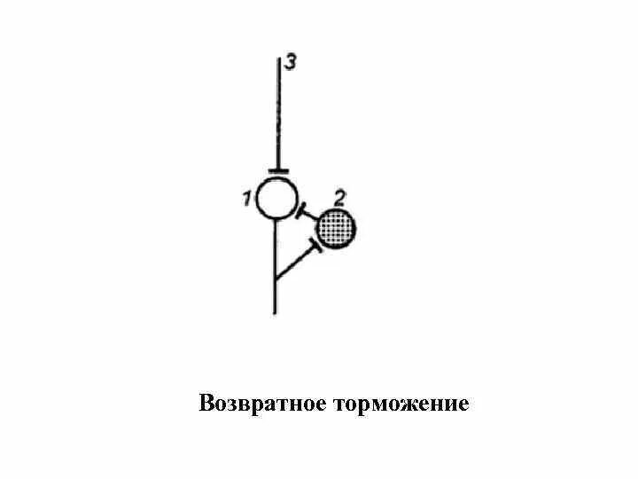 Схема возвратного торможения физиология. Возвратное торможение физиология механизм. Возвратное торможение характеризуется:. Возвратное торможение пример. Возвратное торможение