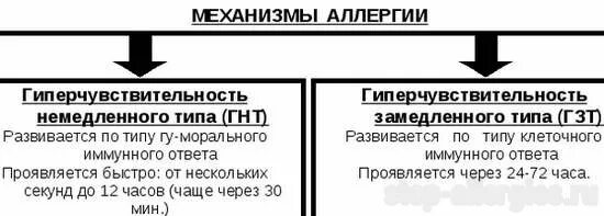 Реакция немедленного и замедленного типа. Аллергические реакции немедленного и замедленного типа. реакции гиперчувствительности немедленного и замедленного типа. аллергические реакции немедленного типа. реакция гиперчувствительности немедленного типа.