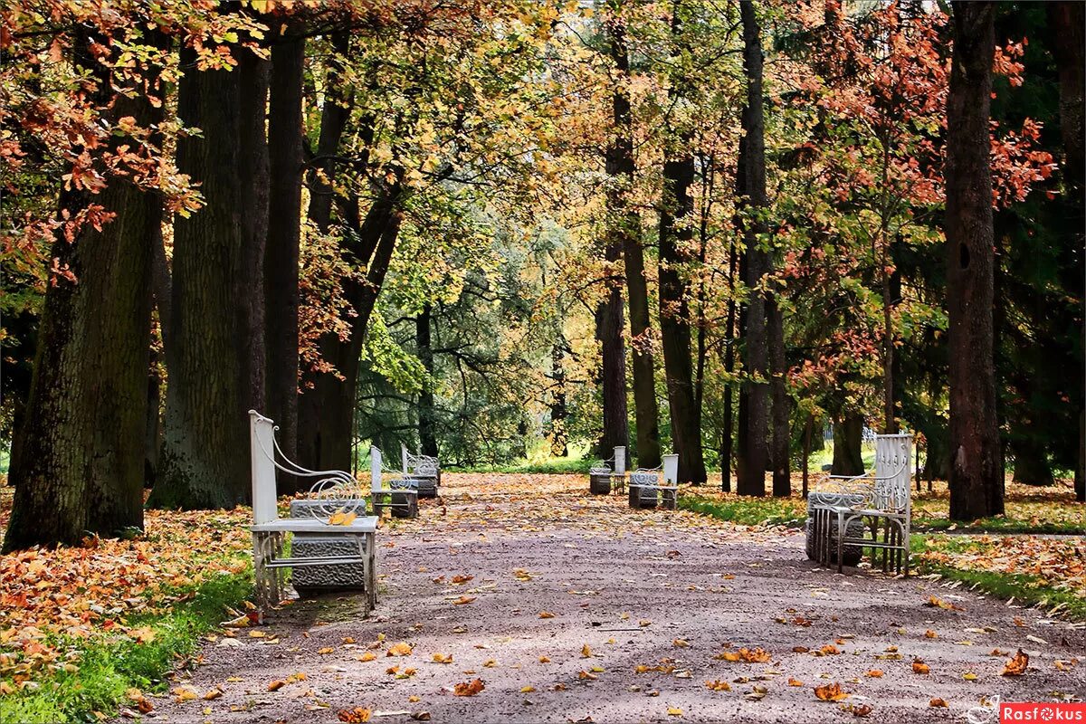Стихотворение в старом парке. Осенний парк с усадьбой. 12 дорожек в павловском парке. В старинном парке стоит старинный. В старинном парке стоит старинный.