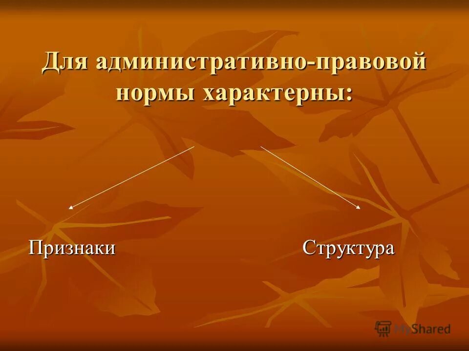 административное право тест. признаки правовой нормы. доклад по праву. административное право проверочная работа. административное право проверочная работа.