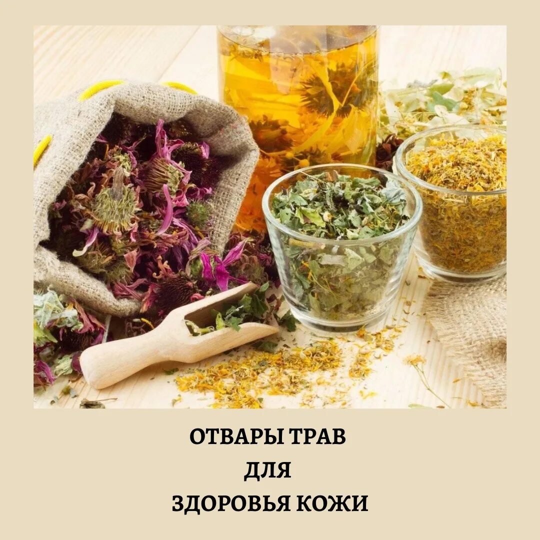 Сколько можно хранить отвар. Отвары трав для здоровья. народные средства для снижения давления. лекарственные травы для красоты. снизить давление народными средствами.