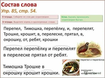 Спали в поле перепелки многозначные слова