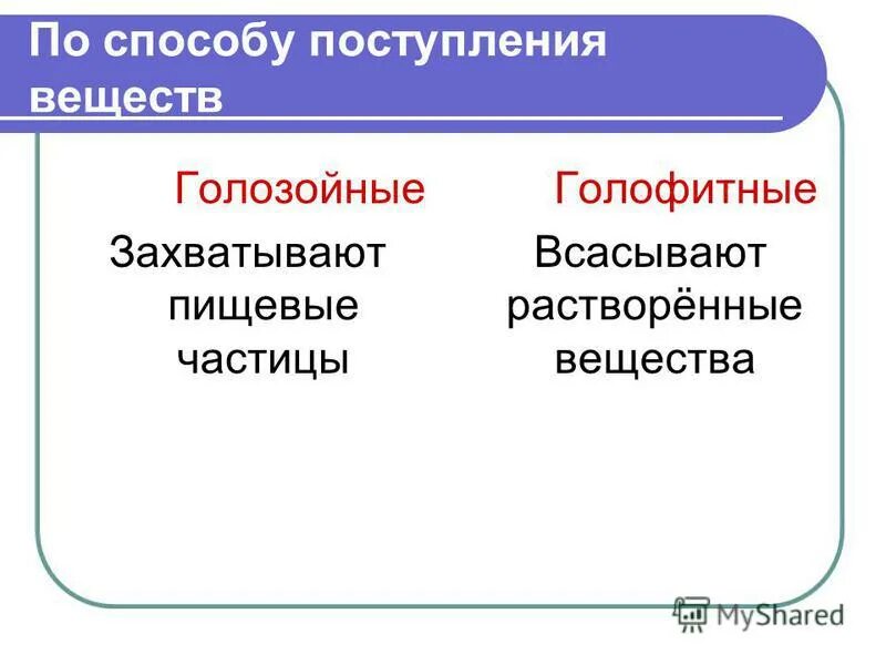 голозойный способ питания
