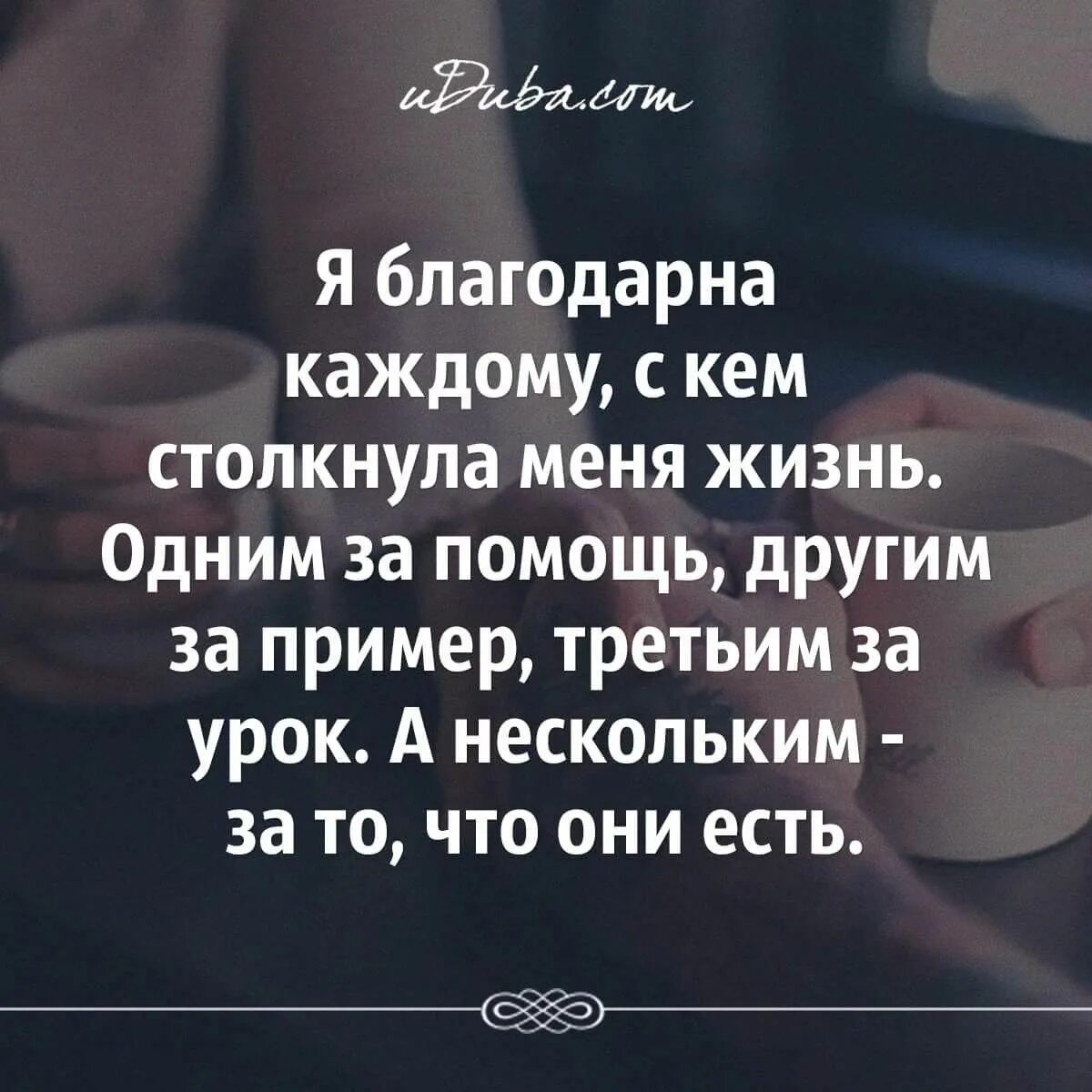 Афоризмы про судьбу. Благодарю жизнь цитаты. Благодарить за жизнь бога. Статус про отомстить. Цитаты люди приходят в нашу жизнь.