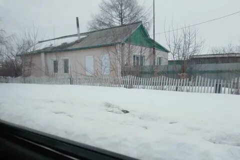 Грачи тюмени