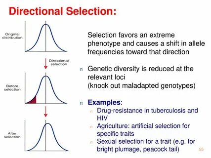 Sampling selection