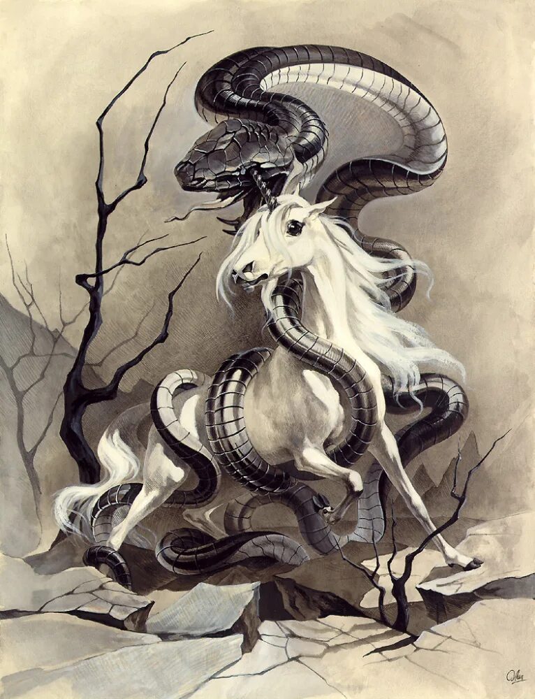 Череп лошади. Череп конь змея. Череп коня. Череп лошади для рисования. Череп коровы.