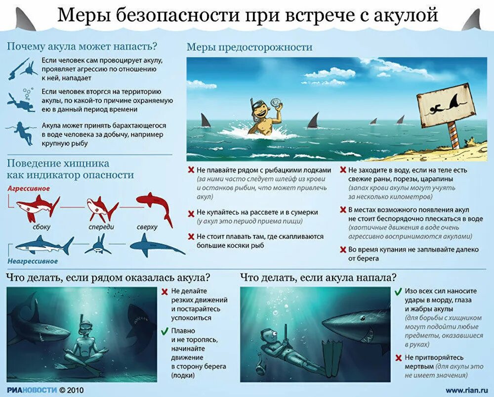 Провести нападение. Меры безопасности при встрече с акулой. Меры безопасности от акул. Меры предосторожности от акул. Меры предосторожности при акуле.