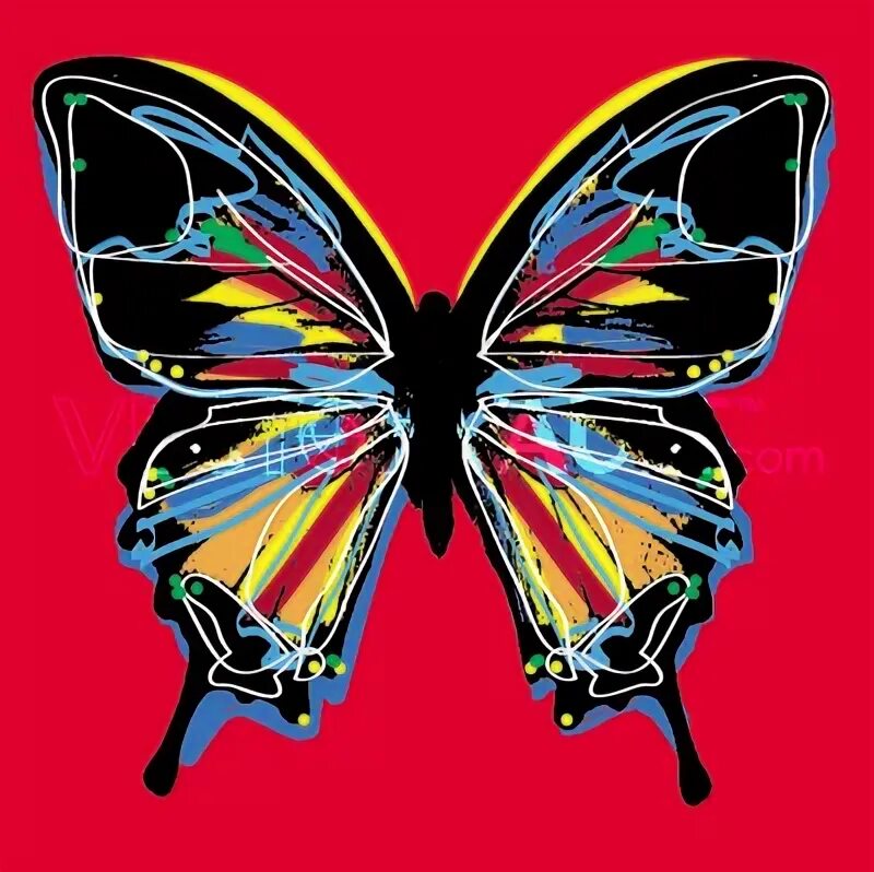 Орхидея pinlong cheris. Miki splash butterfly. 5". Miki splash butterfly. Miki violet butterfly орхидея.