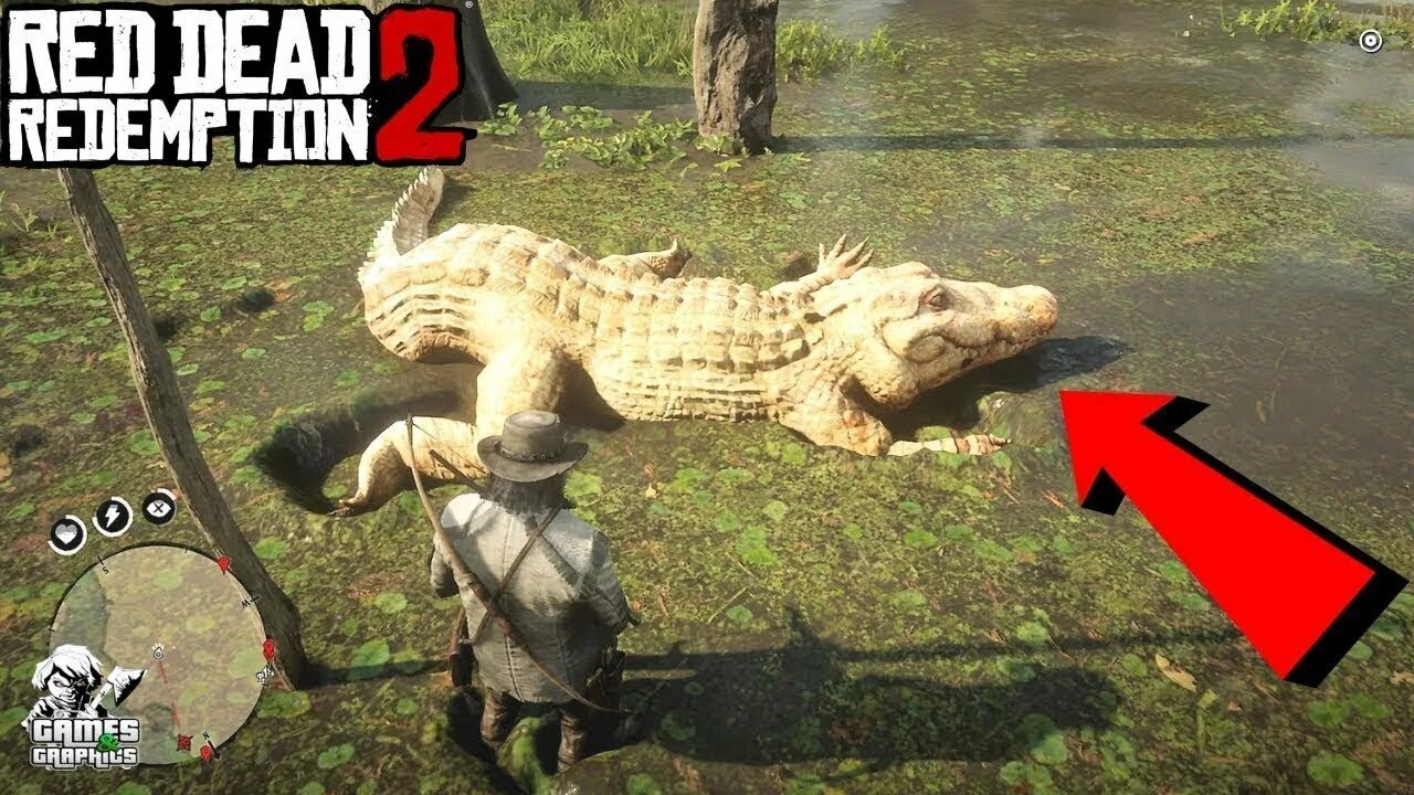 Легендарный аллигатор rdr. Легендарный Аллигатор rdr 2. Red Dead Redemption 2 легендарный Аллигатор.