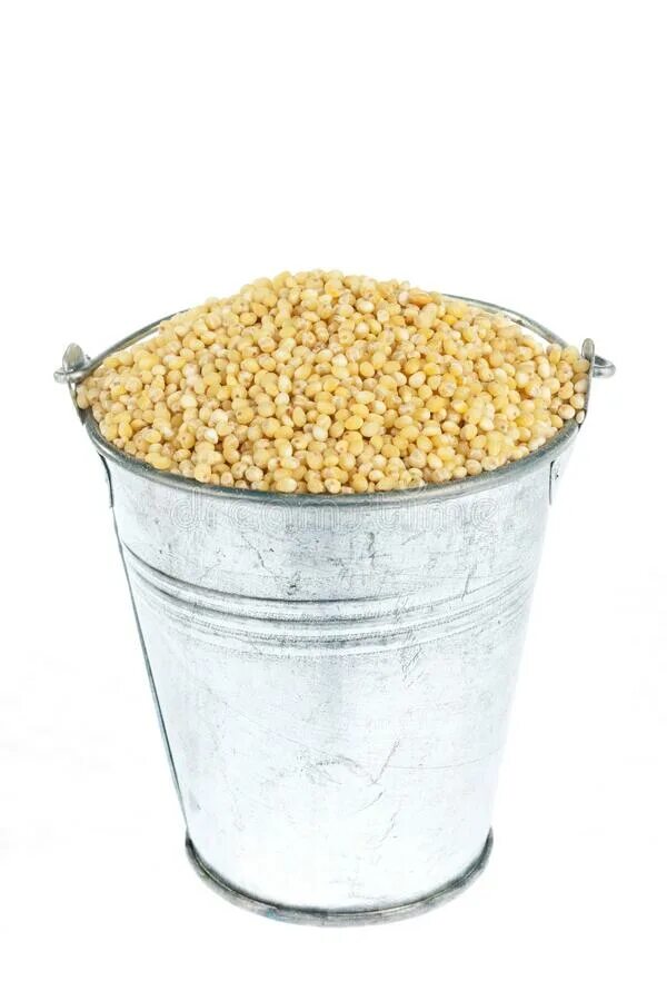 Ведро с зерном. Ведро пшеницы и ведро отрубей. Красивое ведро с зерном. Пшеница в ведре. Ведро с зерном.