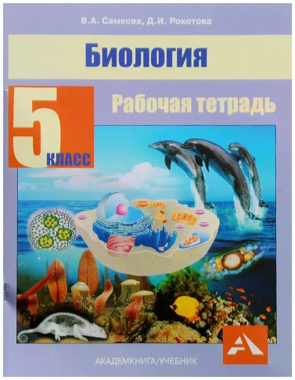 Самкова Рокотова 6 биология. Биология рабочая тетрадь. Тетрадь по биологии 5 класс. Биология рабочая тетрадь 5.