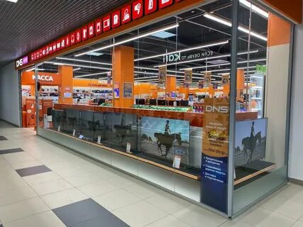 Dns shop псков
