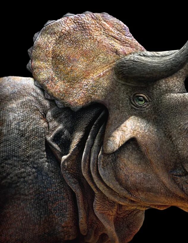 Представление ученых зверей. Динозавр в профиль.
