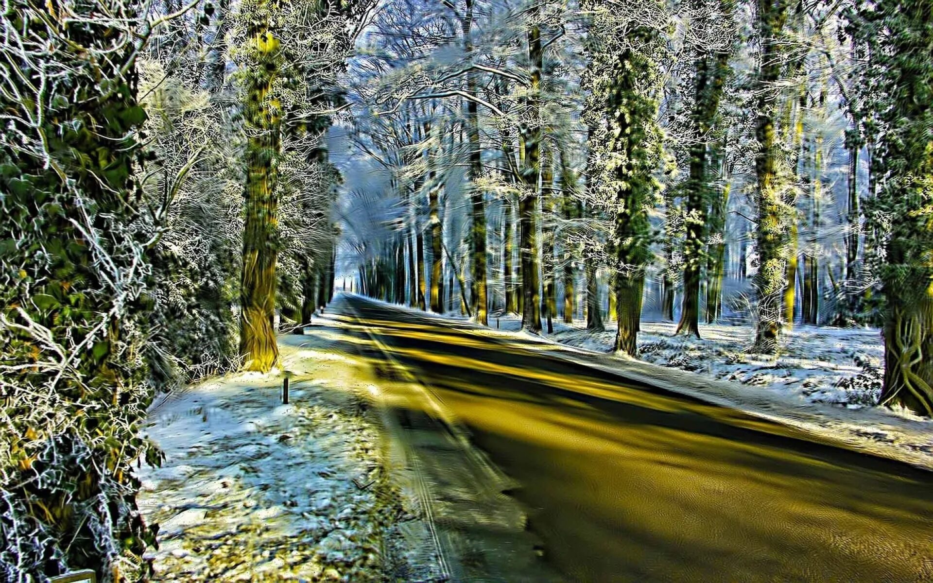 Золотистая зима. Солнечная зимняя дорога. Золотой зимний лес. Зимняя дорога с желтой полосой на телефон заставка.