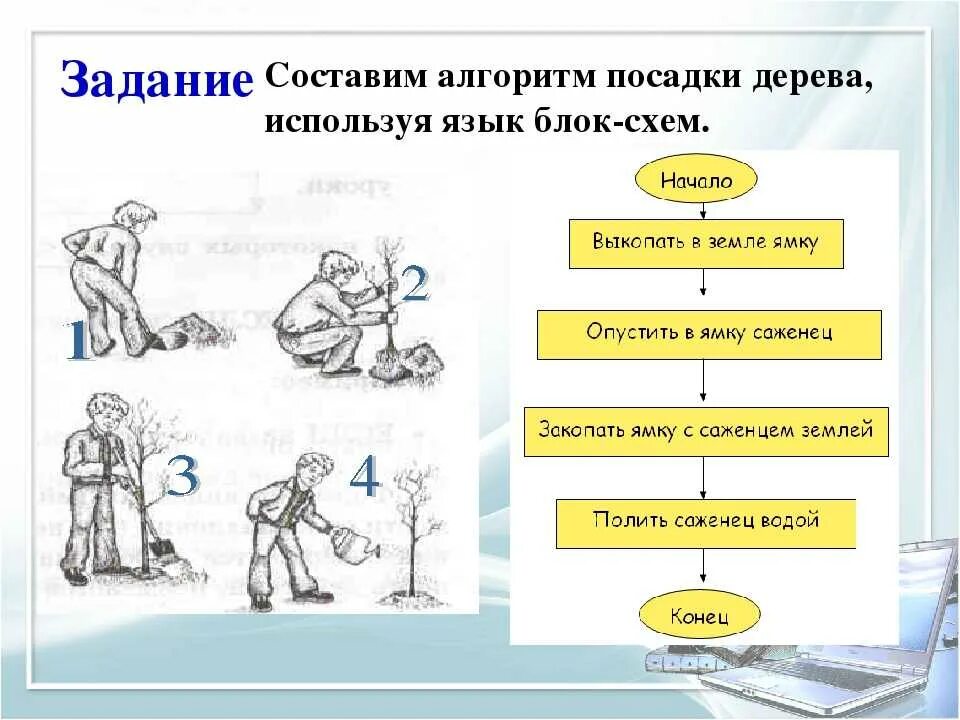 Расставьте действия в нужном порядке алгоритм. Блок схема алгоритма посадки дерева. Линейный алгоритм посадки дерева. Составить алгоритм посадки дерева. Алгоритм посади дерево.