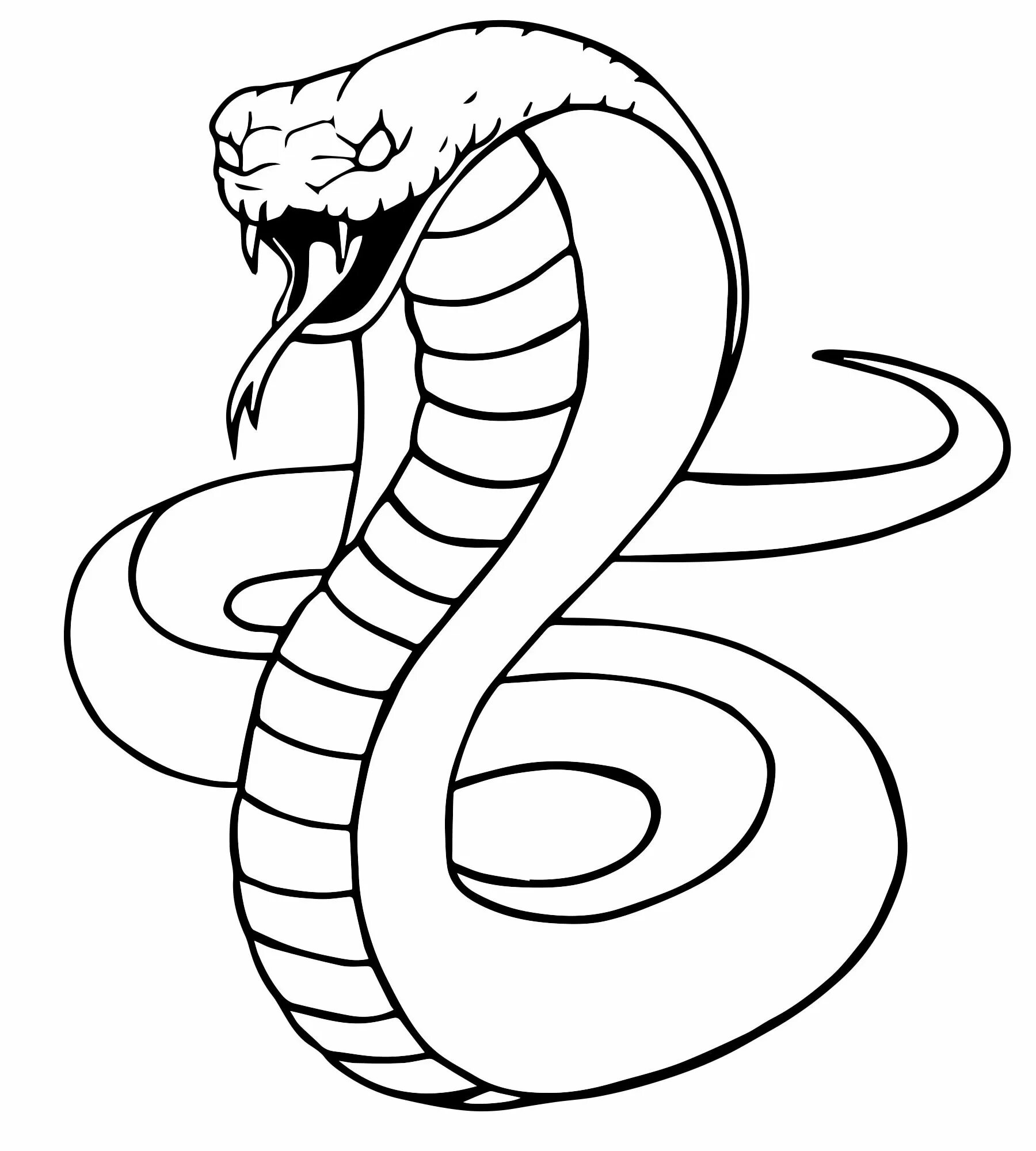 Змея рисунок. Змея раскраска. Рисунки для срисовки змея. Раскраска змеи для детей.