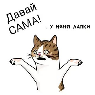 У меня лапки