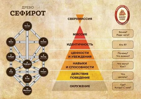 Система жизни читать