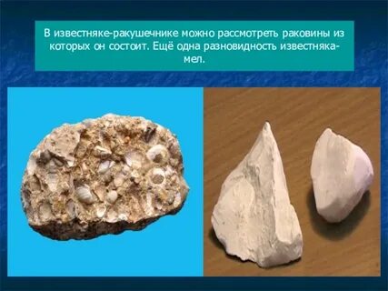 Известняк происхождение
