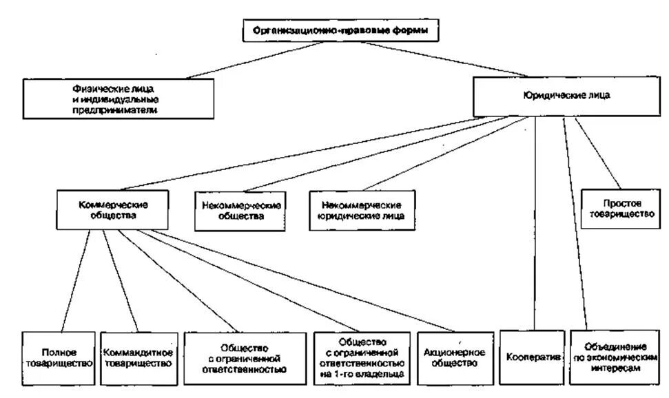 Организационно-правовая форма это. Организационно-правовые формы юридических лиц. Организационно-правовые формы предпринимательской деятельности. Организационно-правовые формы физических лиц. Организационно правовая форма органа государственной власти