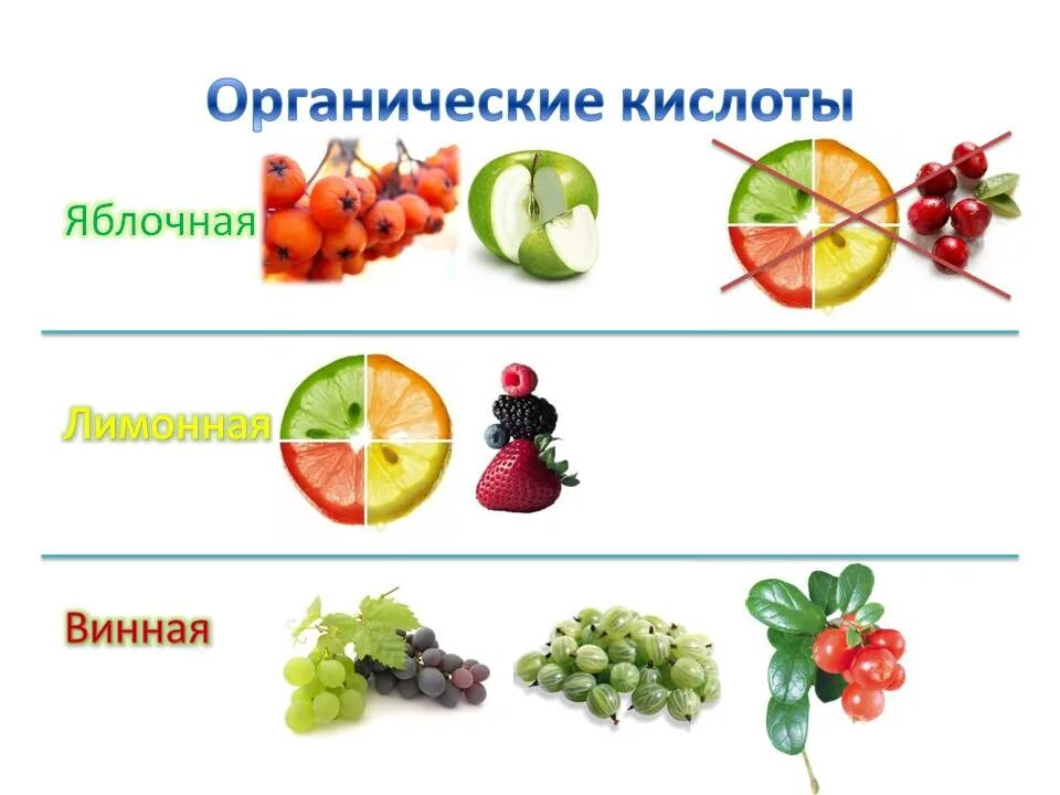 Органические кислоты в производстве. Пищевые органические кислоты. Органические кислоты определение. Уксусная кислота в вине. Органические кислоты роль.