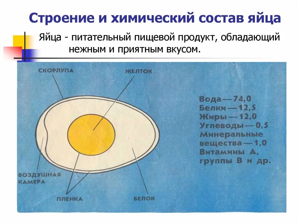 Что содержится в курином желтке
