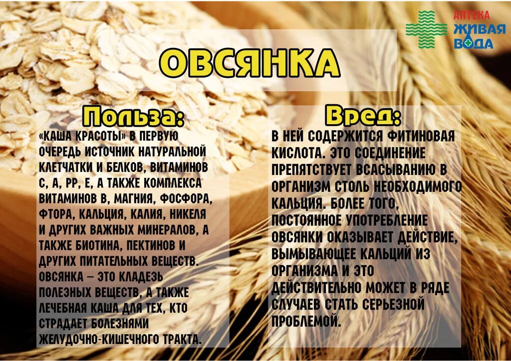 Чем полезна овсянка. Чем полезна овсяная каша. Овсяная каша польза и вред для организма. Полезность овсяной каши.