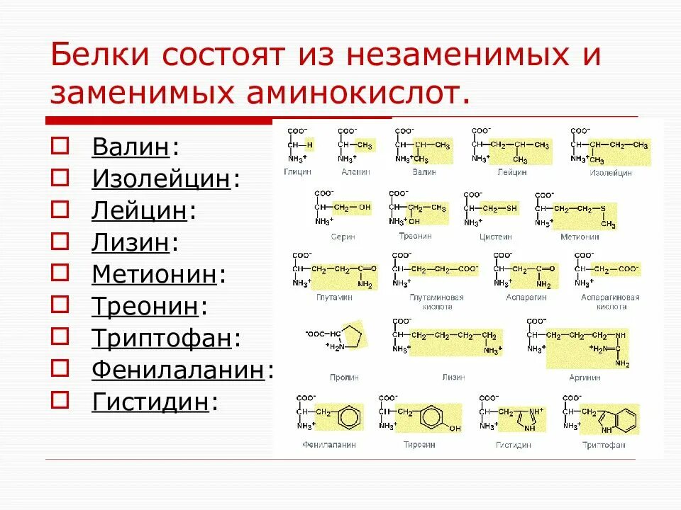 20 незаменимых. Структурные формулы 20 аминокислот. Незаменимые аминокислоты норма в день. Аминокислоты 20 основных таблица заменимые и незаменимые. 20 незаменимых.
