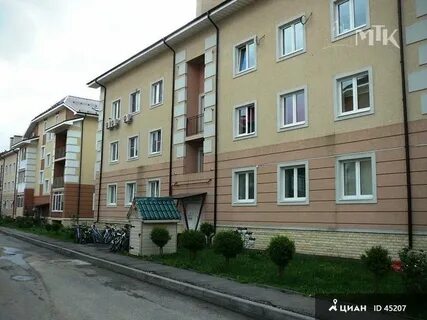 Лесные поляны московская область пушкинский