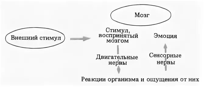Теории эмоций ланге. Периферическая теория Джеймса Ланге. Теория эмоций Джеймса Ланге схема. Периферическая теория эмоций Джеймса-Ланге. Схемы теории эмоций теория эмоций Джемса-Ланге.
