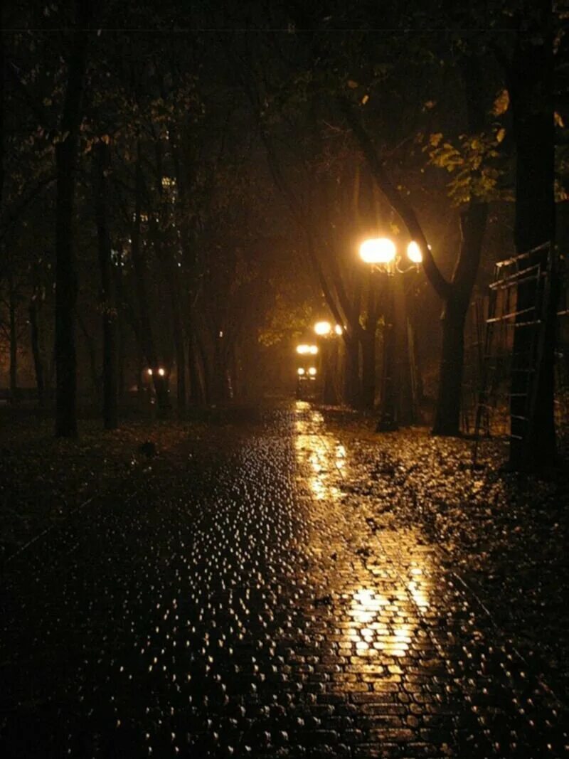Фонарь листопад. Дождь ночью. Дождливадождливая улица. "Дождливый вечер". Дождливая ночь.